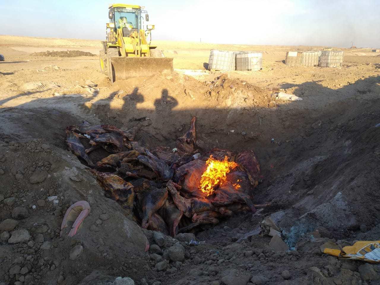 В Азербайджане уничтожено 2.5 тонны мяса неизвестного происхождения
