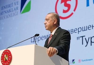 Эрдоган назвал "Турецкий поток" стратегическим энергетическим проектом