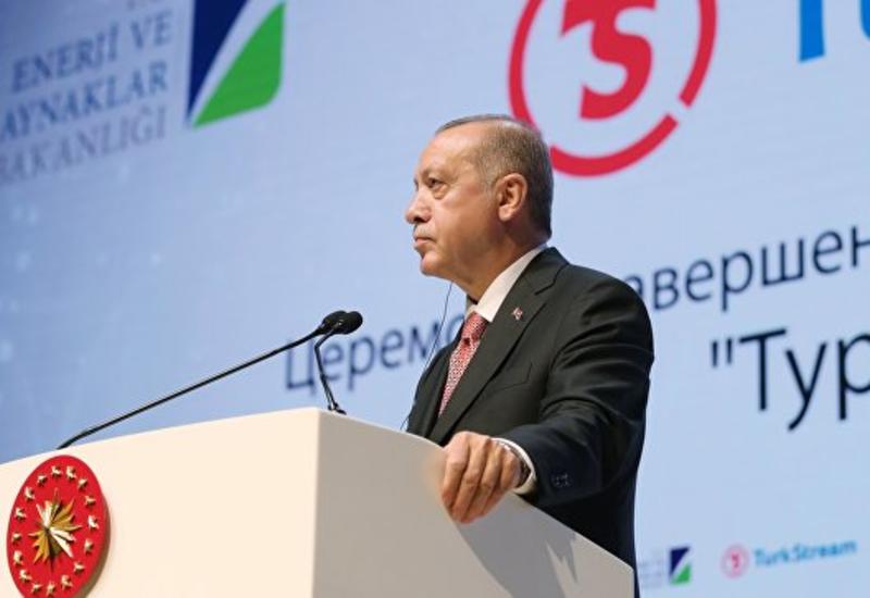 Эрдоган назвал "Турецкий поток" стратегическим энергетическим проектом