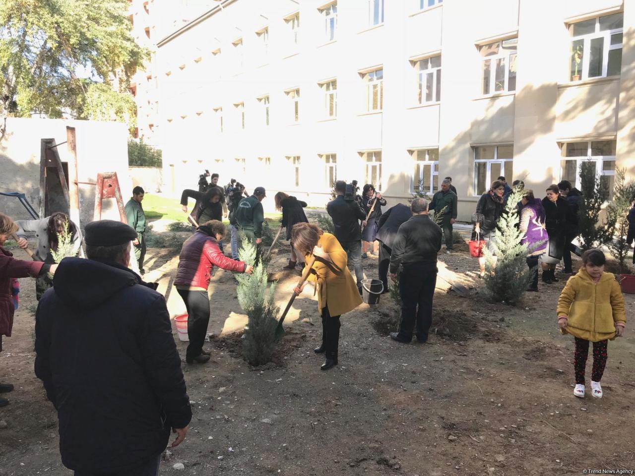 Дети и школьники посадили деревья в Баку