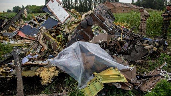 Родственники жертв крушения малайзийского Boeing MH17 подали в суд на Россию
