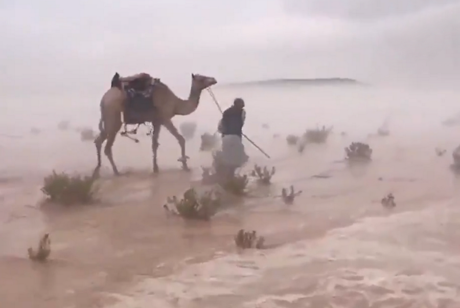 Ливень в пустыне. Наводнение в пустыне саудовской аравии. Наводнение в пустыне саудовской аравии. Файя ларжо чад. Наводнение в сахаре сейчас.