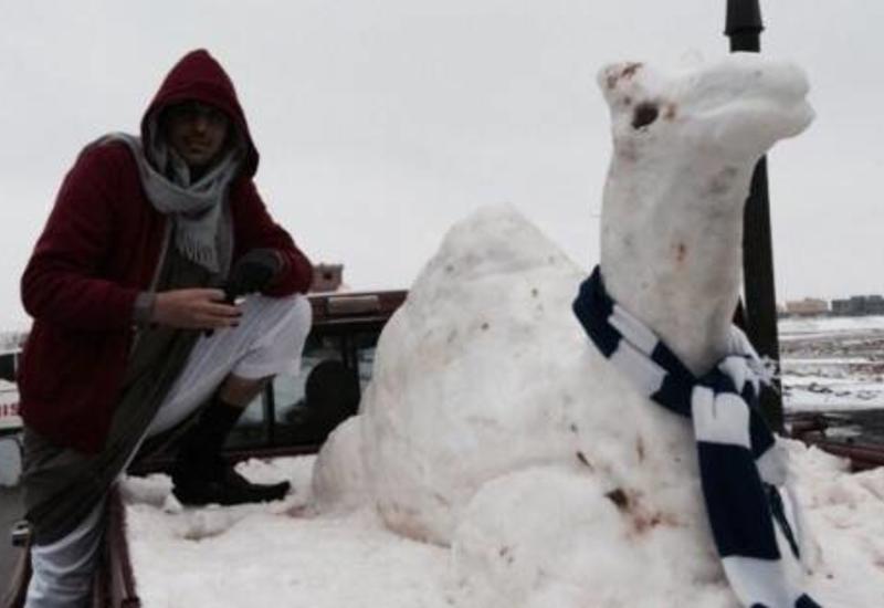 Жителей Саудовской Аравии напугал неожиданно выпавший снег
