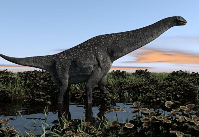 Россия оказалась родиной древнейших титанозавров Евразии