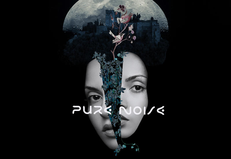 AISEL презентовала альтернативный музыкальный проект "Pure Noise"