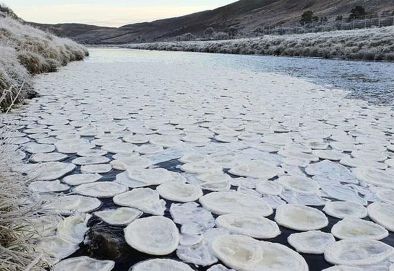 В Шотландии река покрылась «блинами» изо льда