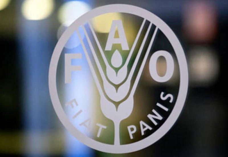 Азербайджан и FAO осуществят совместные проекты в других странах <span class="color_red">- ФОТО</span>