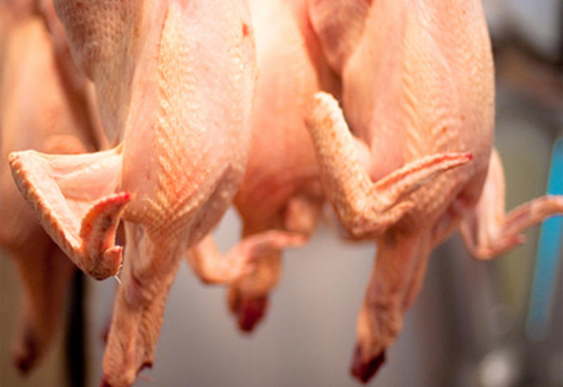 Азербайджан запретил ввоз курятины из еще нескольких иранских провинций