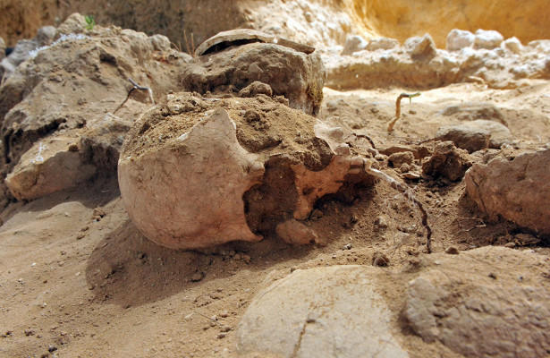 В Польше раскрыли убийство, совершенное 8 тысяч лет назад