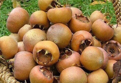 Bu yazını oxuyub əzgili daha çox xoşlayacaqsınız