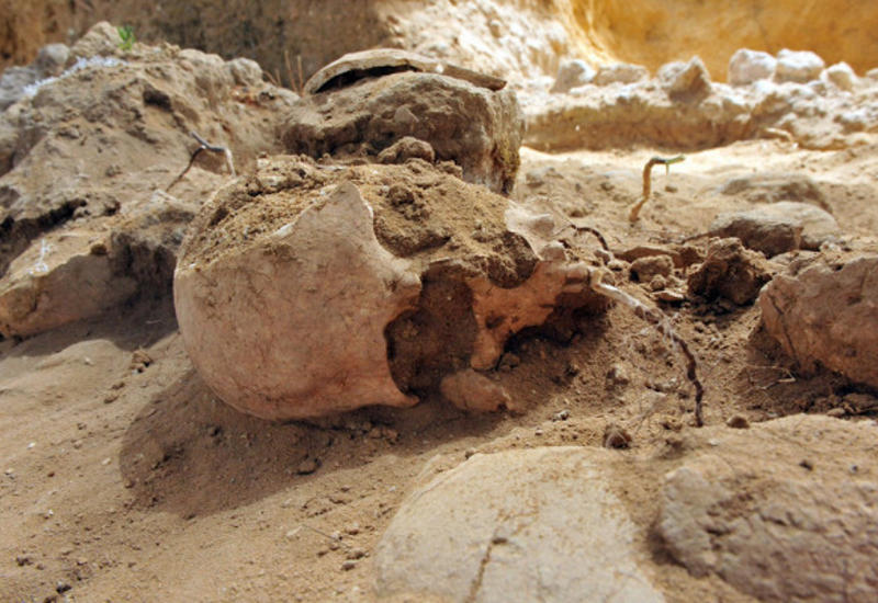 В Польше раскрыли убийство, совершенное 8 тысяч лет назад