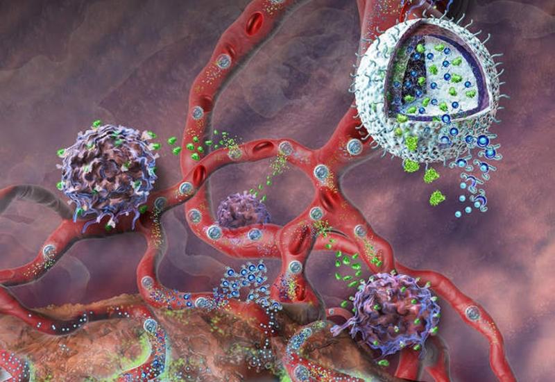 Ученые создали теорию "коллективного поведения" наночастиц для лечения рака