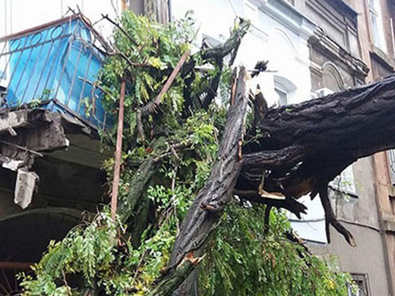 Сильный ветер в Баку нанес ущерб на тысячи манатов
