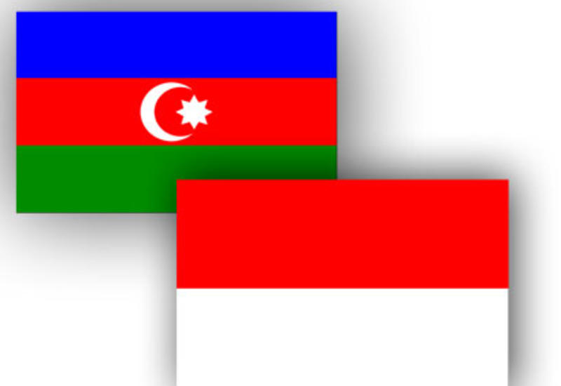 Индонезия поддержала Азербайджан <span class="color_red">- ФОТО</span>