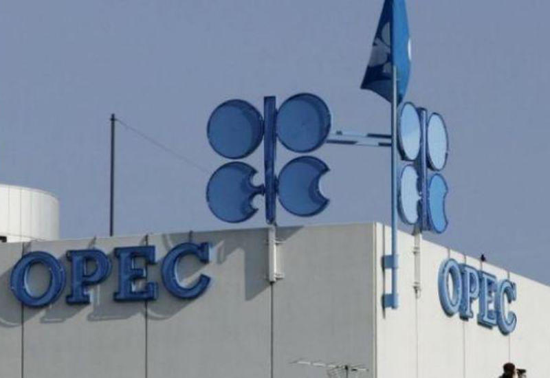OPEC-in Bakıdakı iclaslarının VAXTI dəqiqləşib