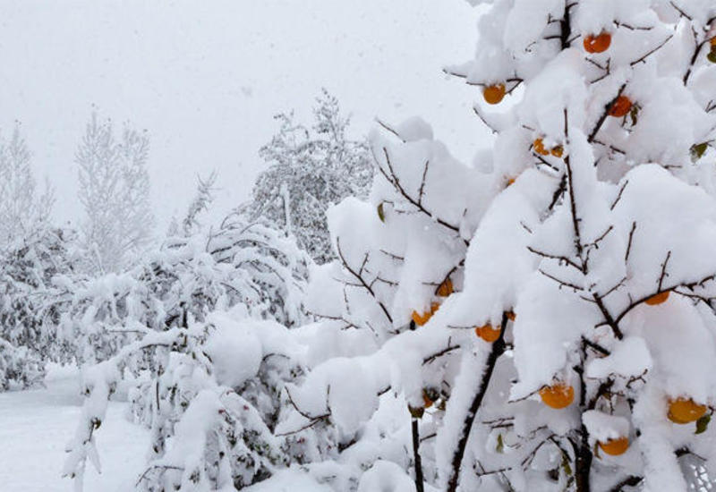 Сильный снегопад в Иране отрезал от внешнего мира два района одной из провинций