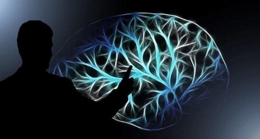 Учёные назвали способ омоложения мозга в любом возрасте