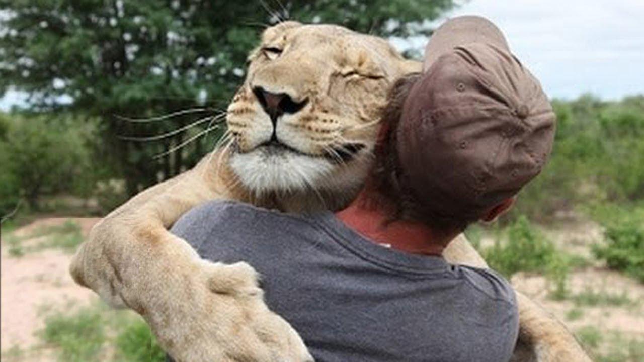 10 невероятных историй о дружбе людей с дикими животными
