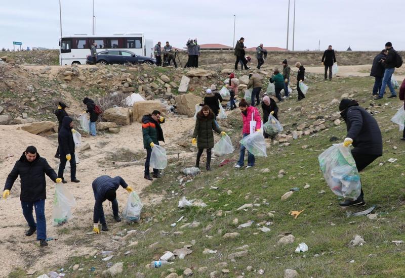Побережье Каспийского моря очистили от пластиковых отходов