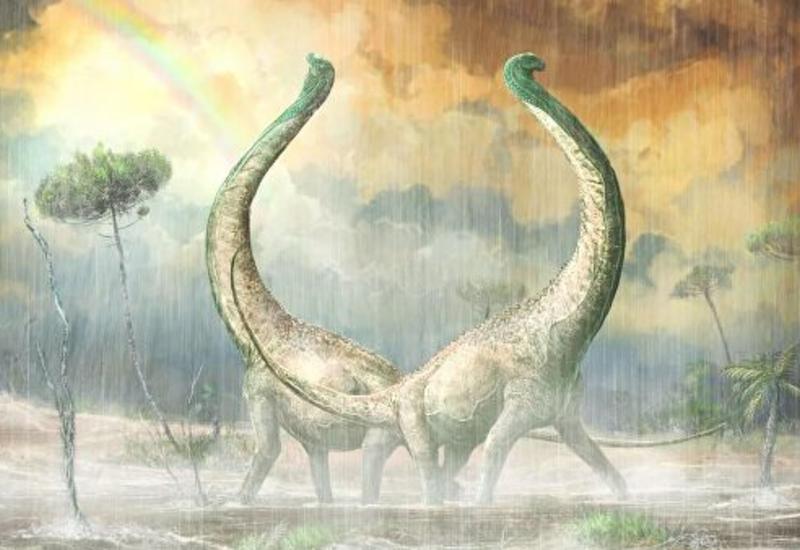 Ученые нашли в Африке гигантского динозавра с хвостом в виде сердца