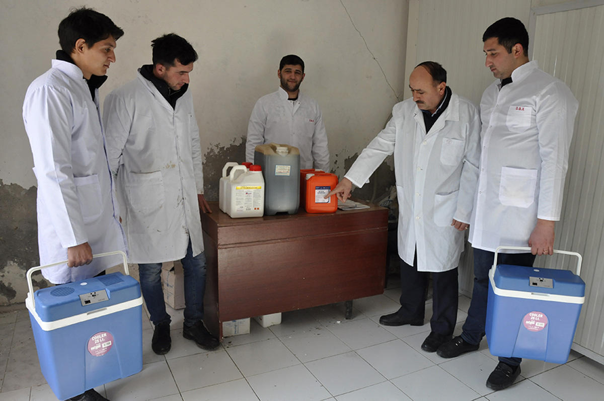 В Азербайджане проводится массовая вакцинация