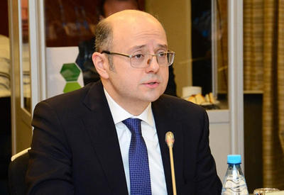 Парвиз Шахбазов рассказал в Мюнхене о важности азербайджанского мегапроекта