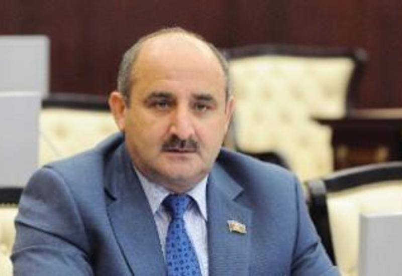 Депутат: Реформы в Азербайджане забеспокоили оппозицию и "мафию"