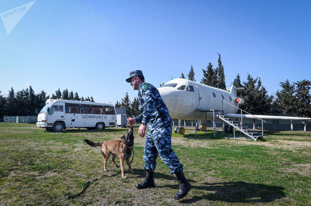 Вот какие необычные собаки охраняют границы Азербайджана