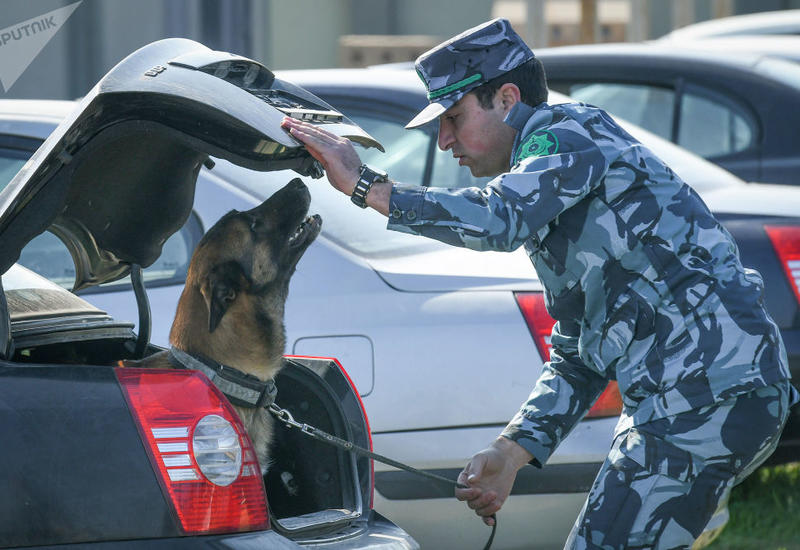 Вот какие необычные собаки охраняют границы Азербайджана