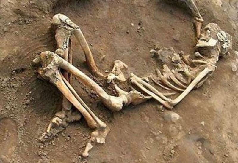 Страшная находка в Баку: найден скелет женщины