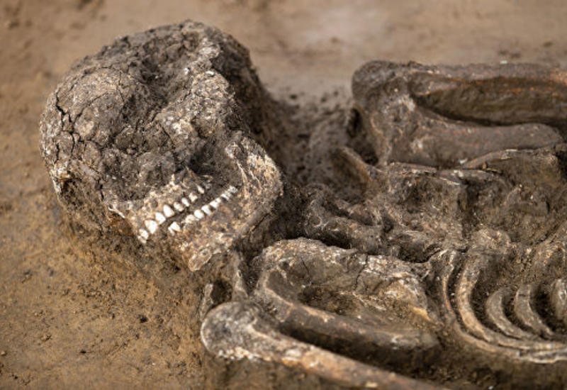 Археологи нашли в Баварии скелет возрастом 6,5 тысячи лет