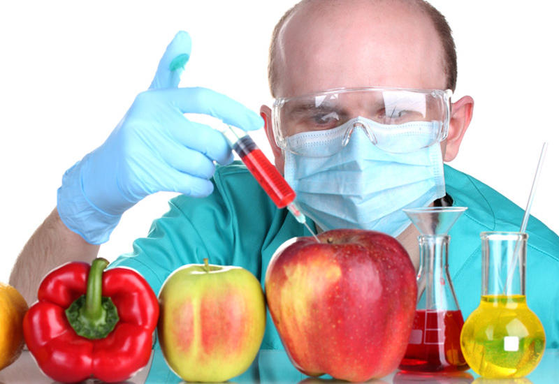 Hansını seçək: təbii qida məhsullarını, yoxsa GMO-ları?!