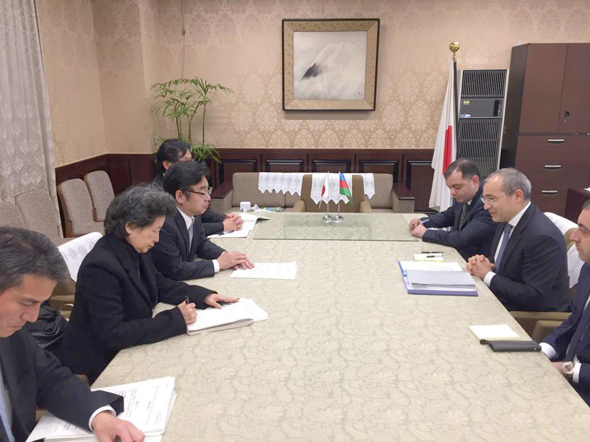 Микаил Джаббаров на переговорах с главой МИД Японии