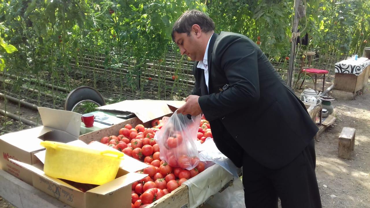 Агентство пищевой безопасности Азербайджана проводит массовые проверки