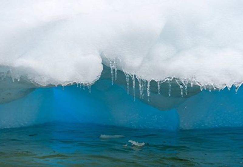 Бывший премьер Эстонии подрабатывает гидом в Антарктике