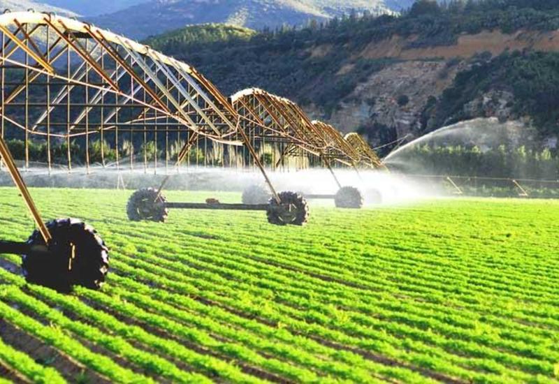 Сельское хозяйство Азербайджана названо наиболее перспективной отраслью экономики