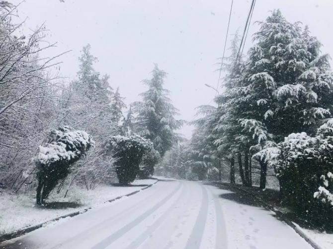 В Тбилиси пошел снег в разгар весны