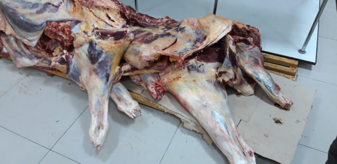 В Азербайджане пресекли попытку продажи сотен кг непригодного к использованию мяса
