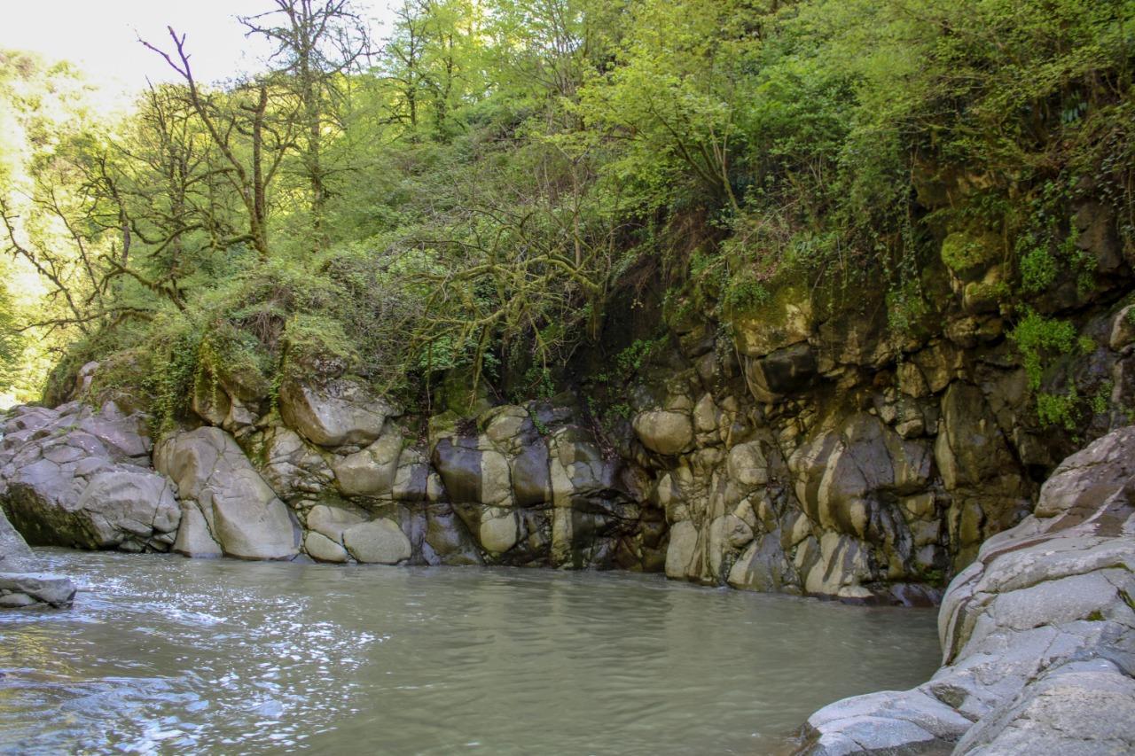 Вход в национальные парки Азербайджана будет бесплатным