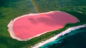 В Австралии есть розовое озеро. Как оно таким стало и можно ли в нем купаться