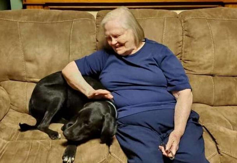 Пес спас жизнь пенсионерке, которая его ненавидела