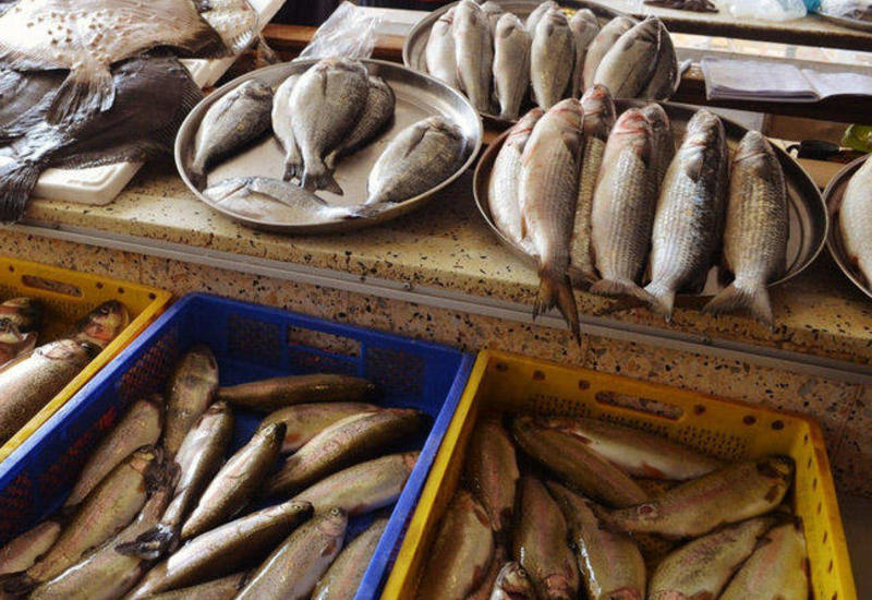Откуда завозятся осетровые рыбы в Азербайджан?