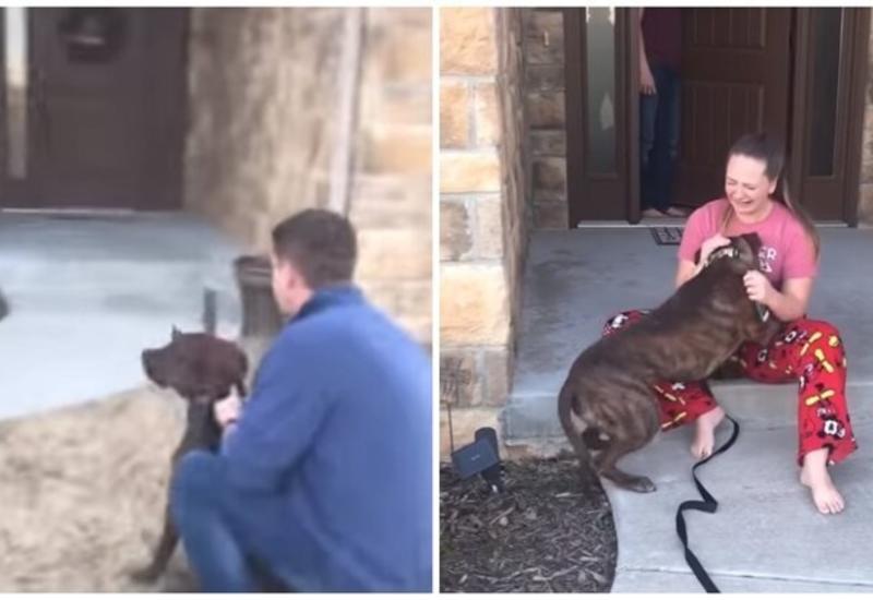 Девушка не смогла сдержать слез, увидев подаренную ей собаку