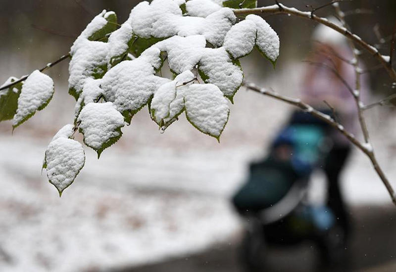 В России в первую неделю лета выпал снег
