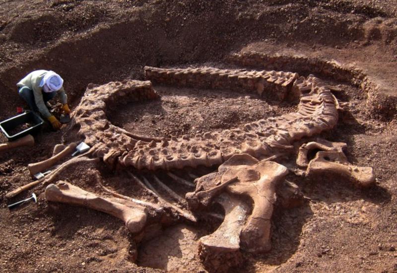 В Китае обнаружили следы динозавра