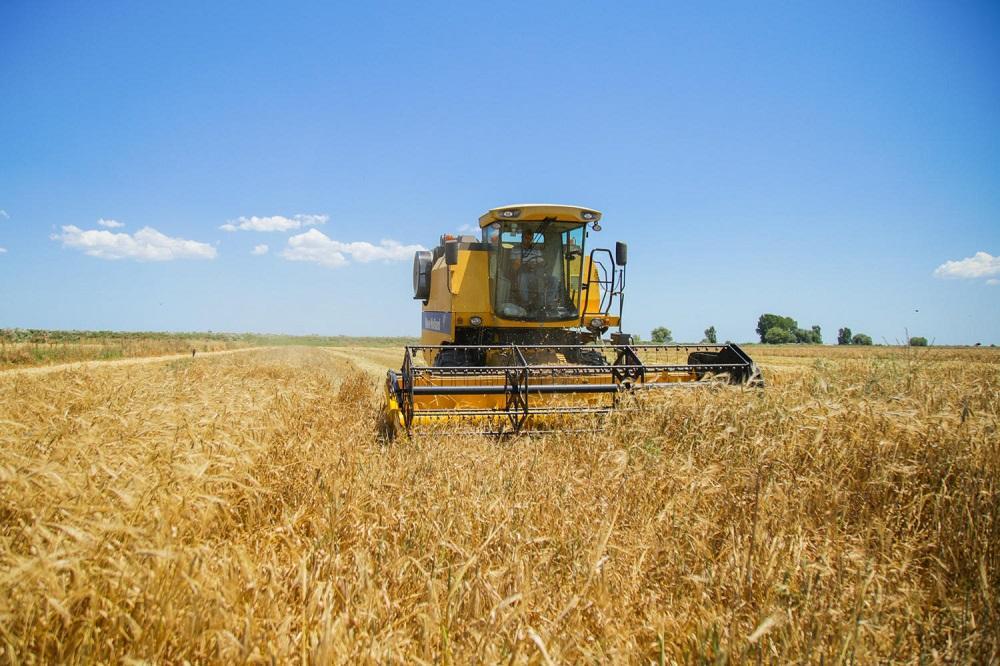 Доходы аграрного сектора Азербайджана увеличились более чем в 2 раза