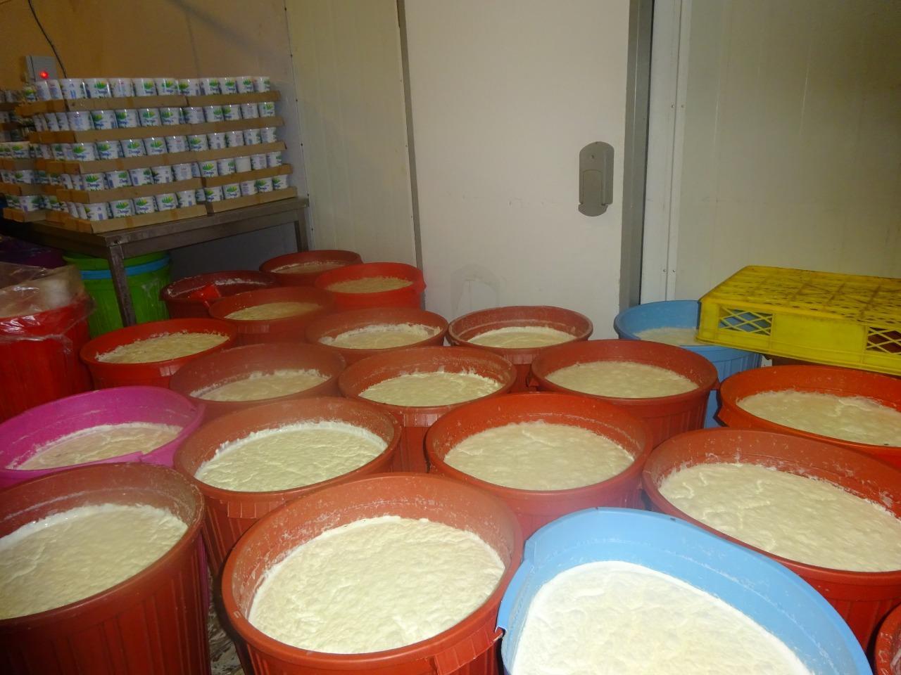 В Баку накрыли цех, производивший некачественную молочную продукцию