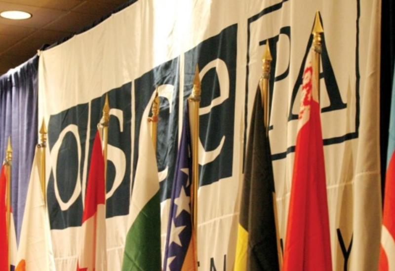 ПА ОБСЕ призвала использовать базы Интерпола для выявления террористов