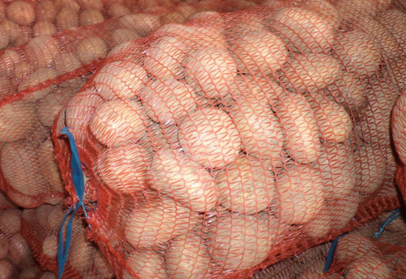 Азербайджан вернул в Иран и Грузию сотни тонн картофеля и киви