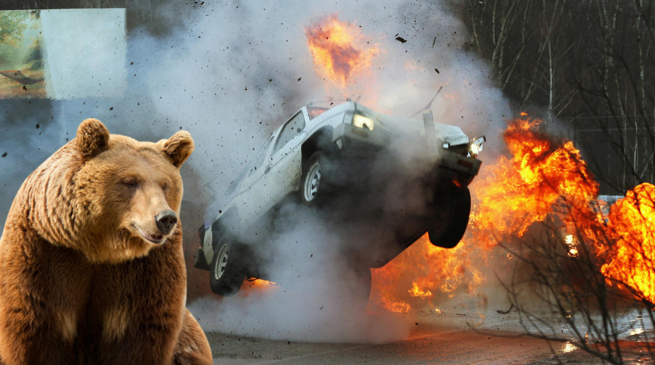 Горящий лось. Медведь в машине. Горящий медведь. Медведь и горящий автомобиль.